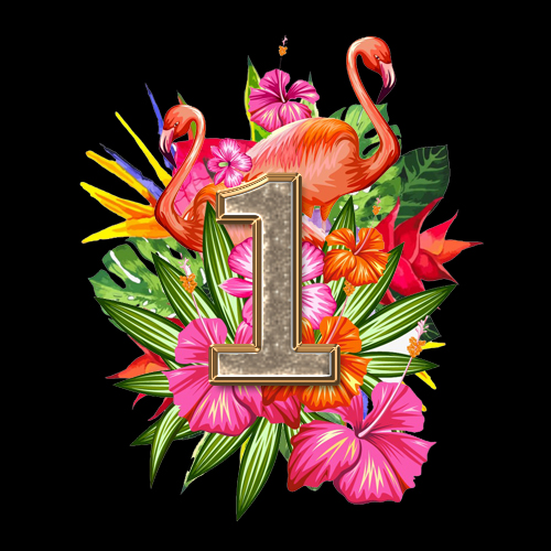 NO1