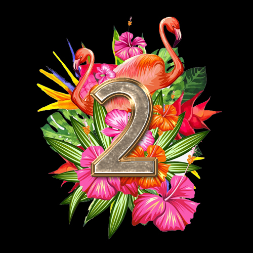 NO2