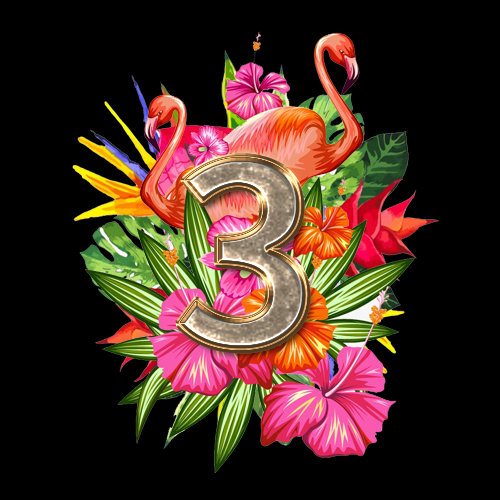 NO1