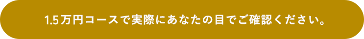 1.5万円コースで実際にあなたの目でご確認ください。